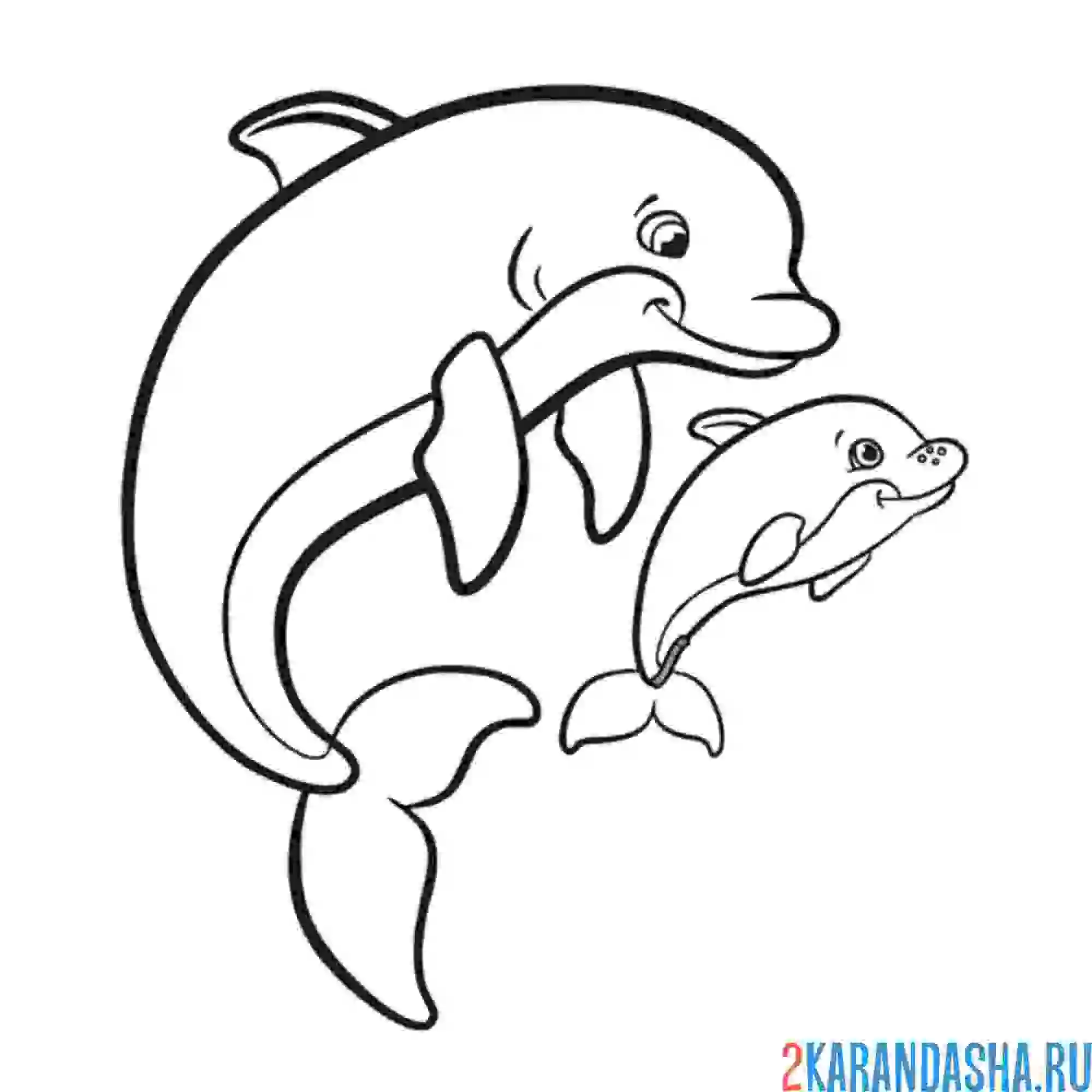 Раскраска дельфин мама и детеныш