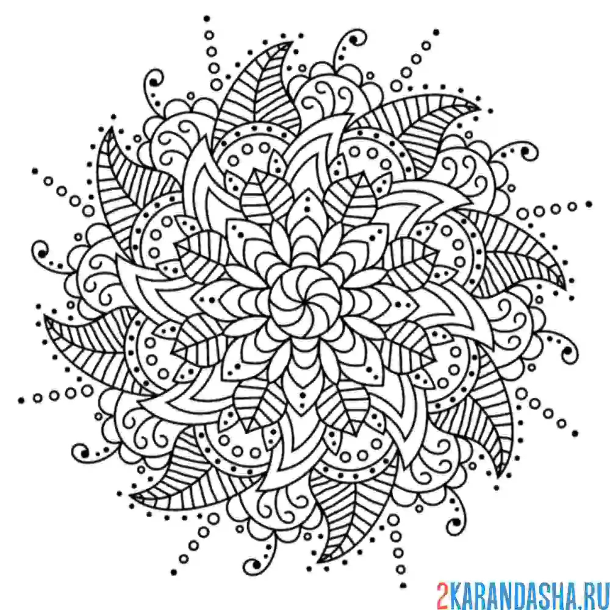 Раскраска мандала цветения и благополучия