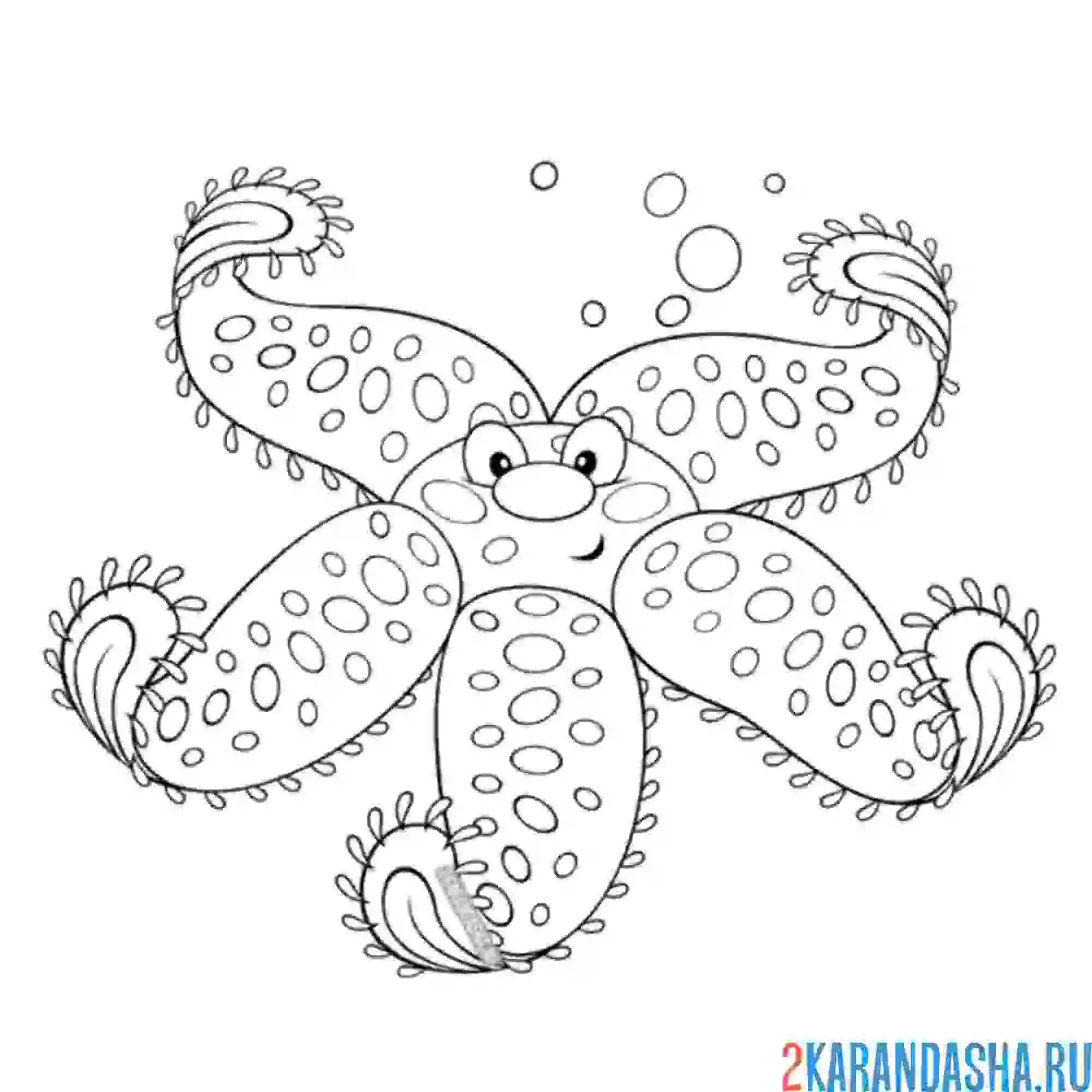 Раскраска морская звезда лежит