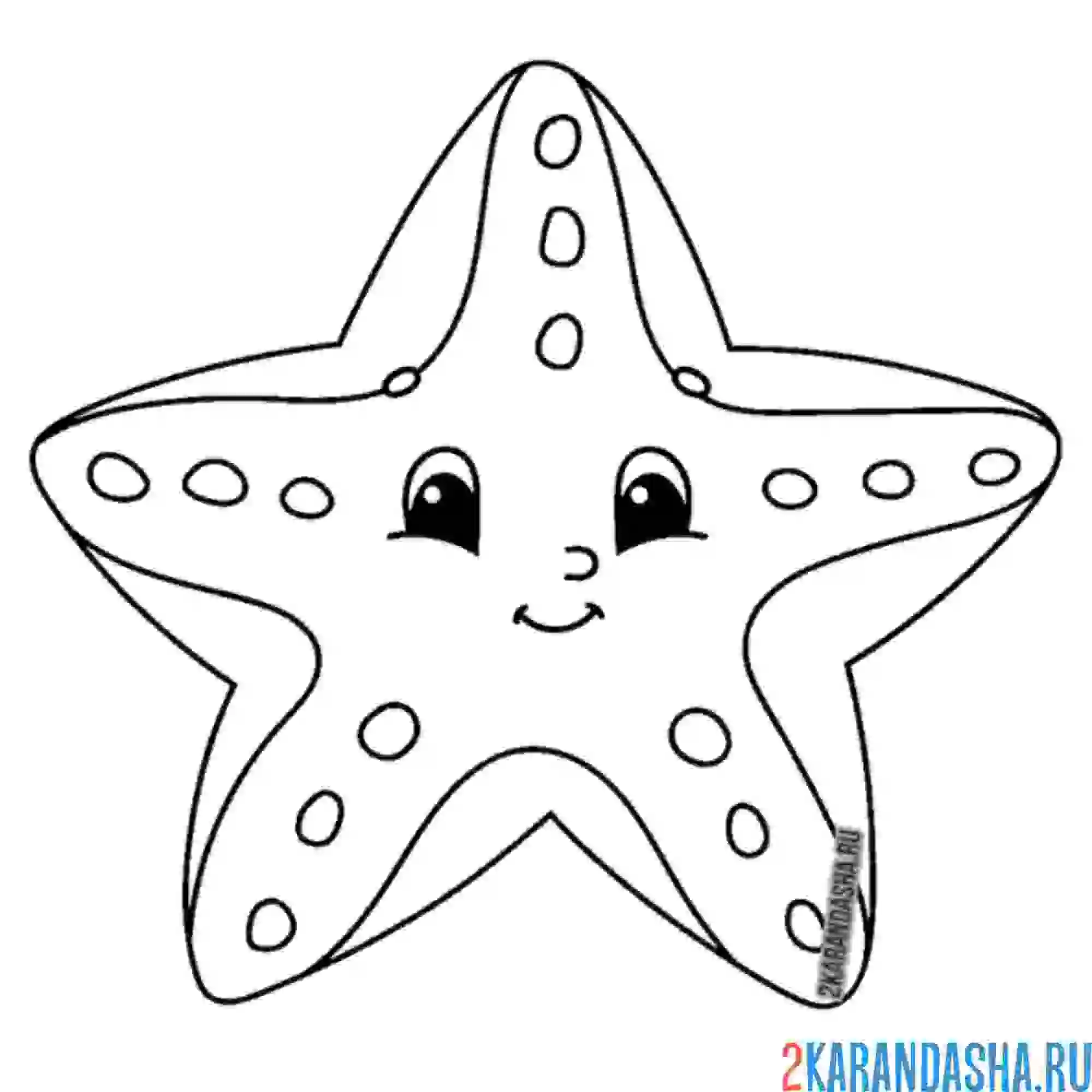 Раскраска морская звезда с глазками