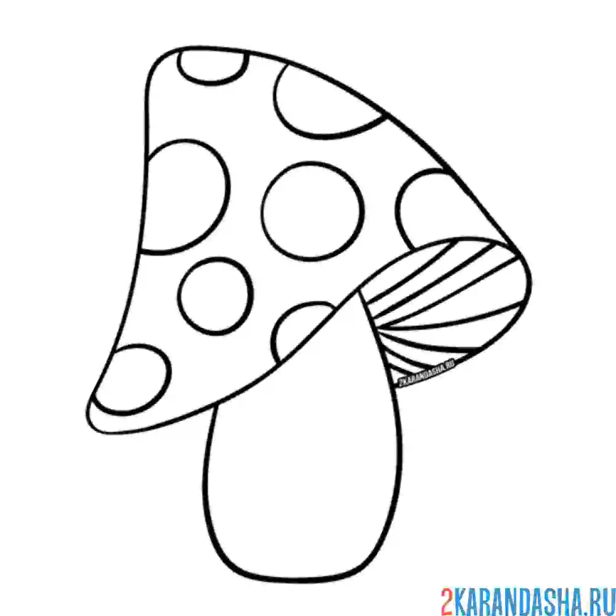 Раскраска мухомор гриб ядовитый