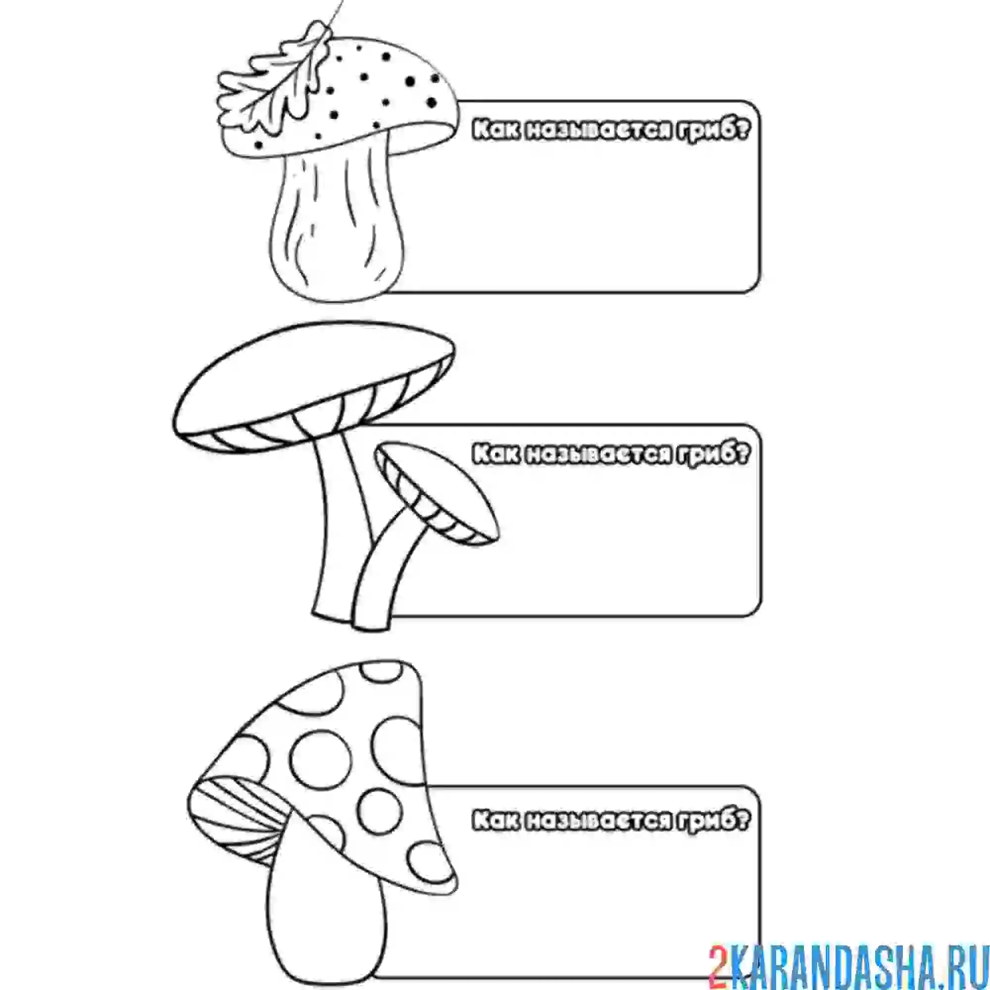 Раскраска названия грибов