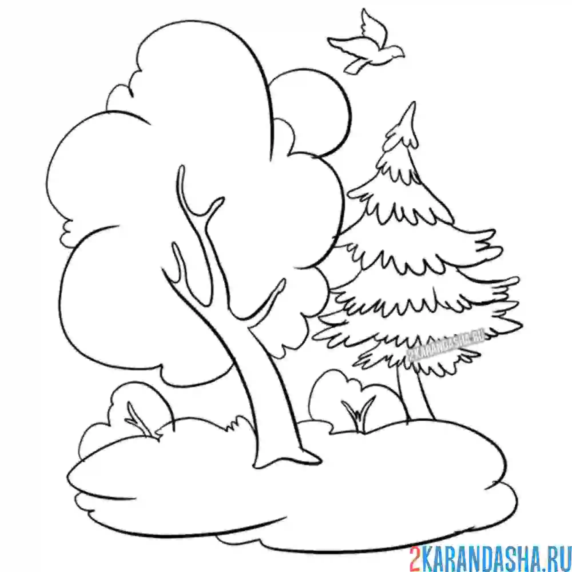 Раскраска небольшой лес