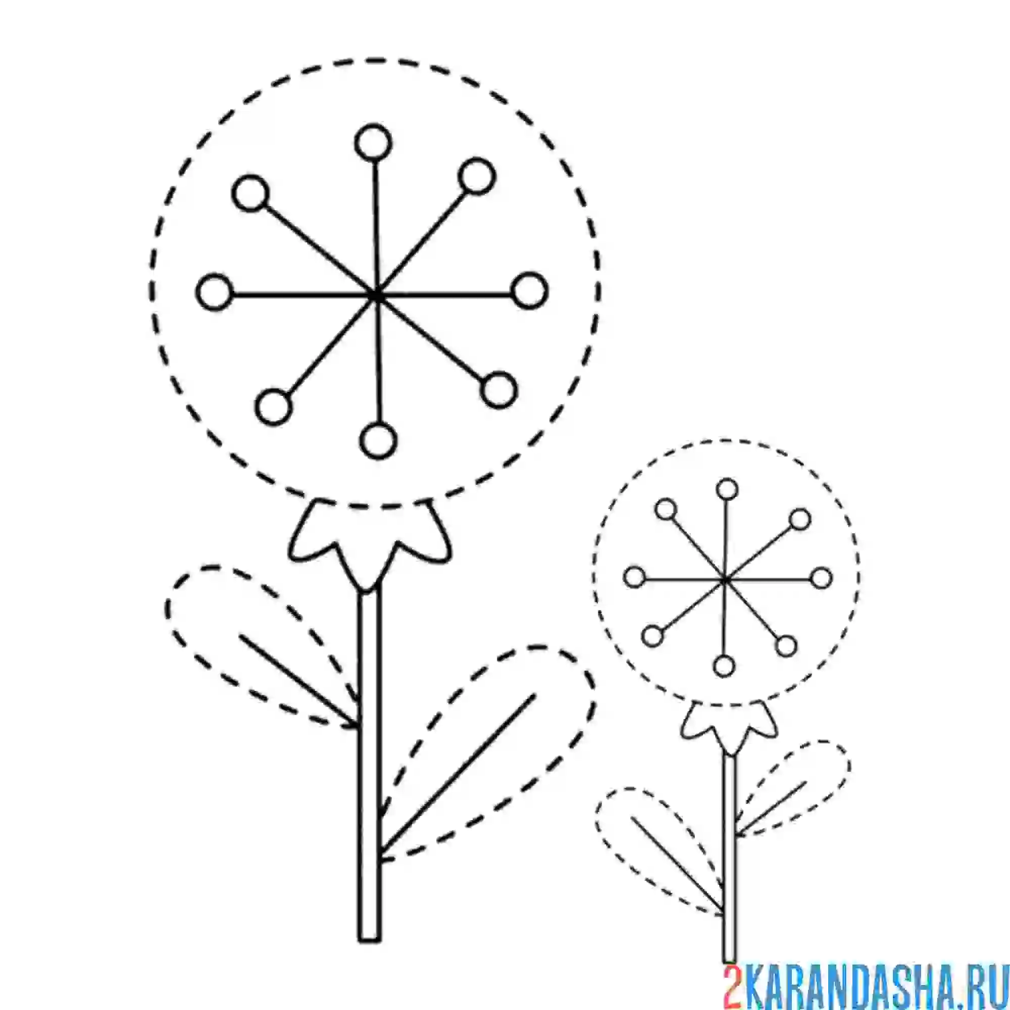 Раскраска обведи одуванчики