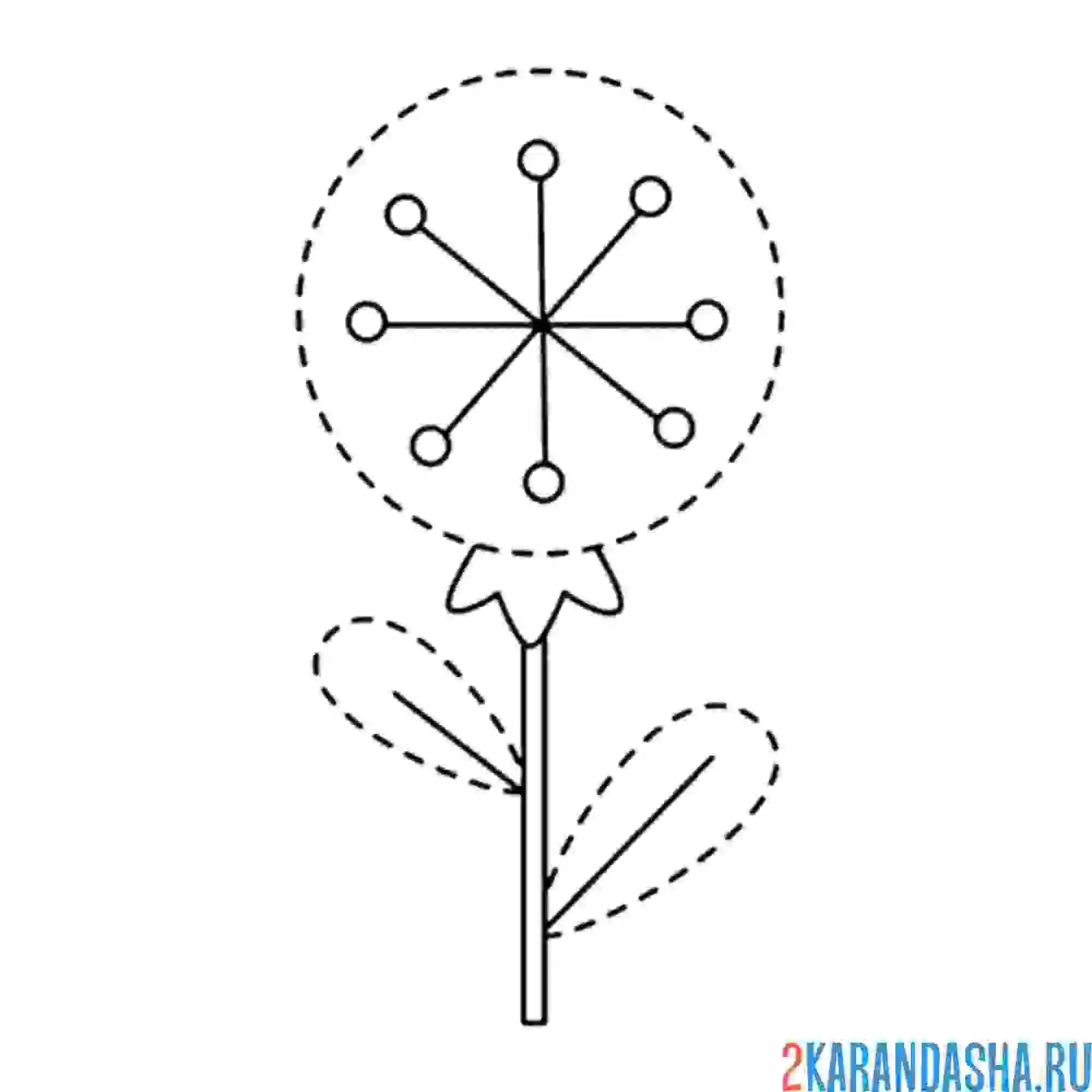 Раскраска одуванчик для малышей