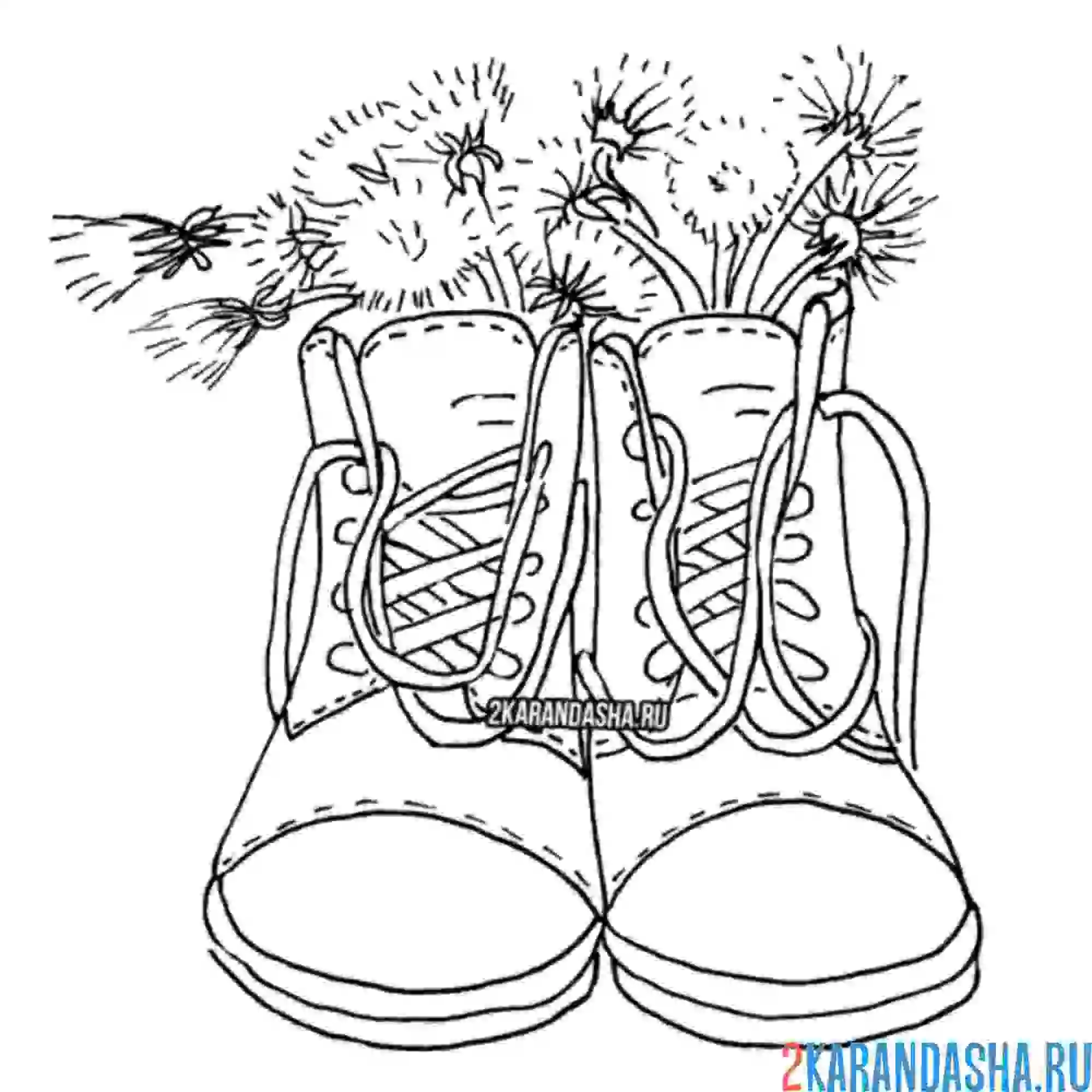 Раскраска одуванчики в ботинках