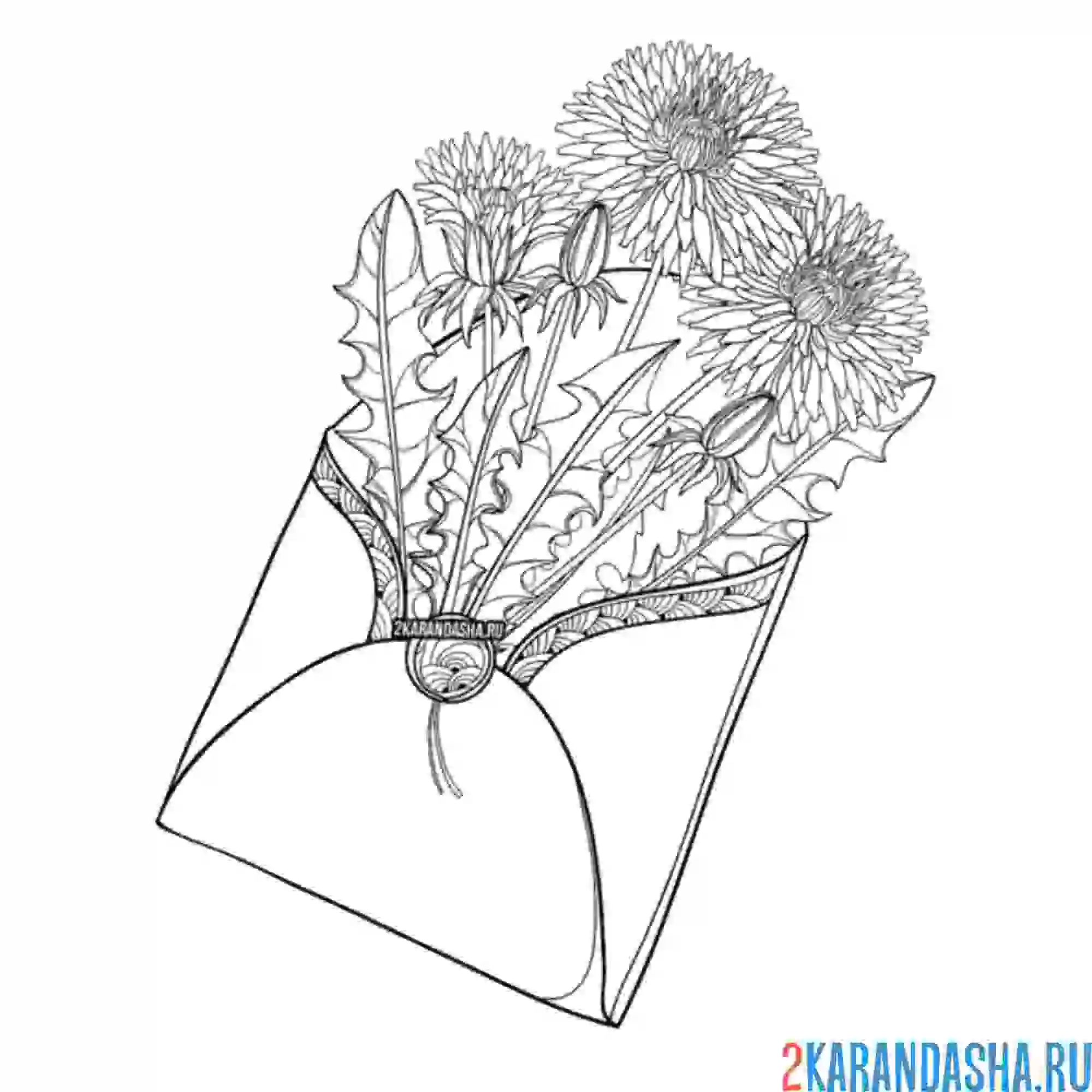 Раскраска одуванчики в конверте