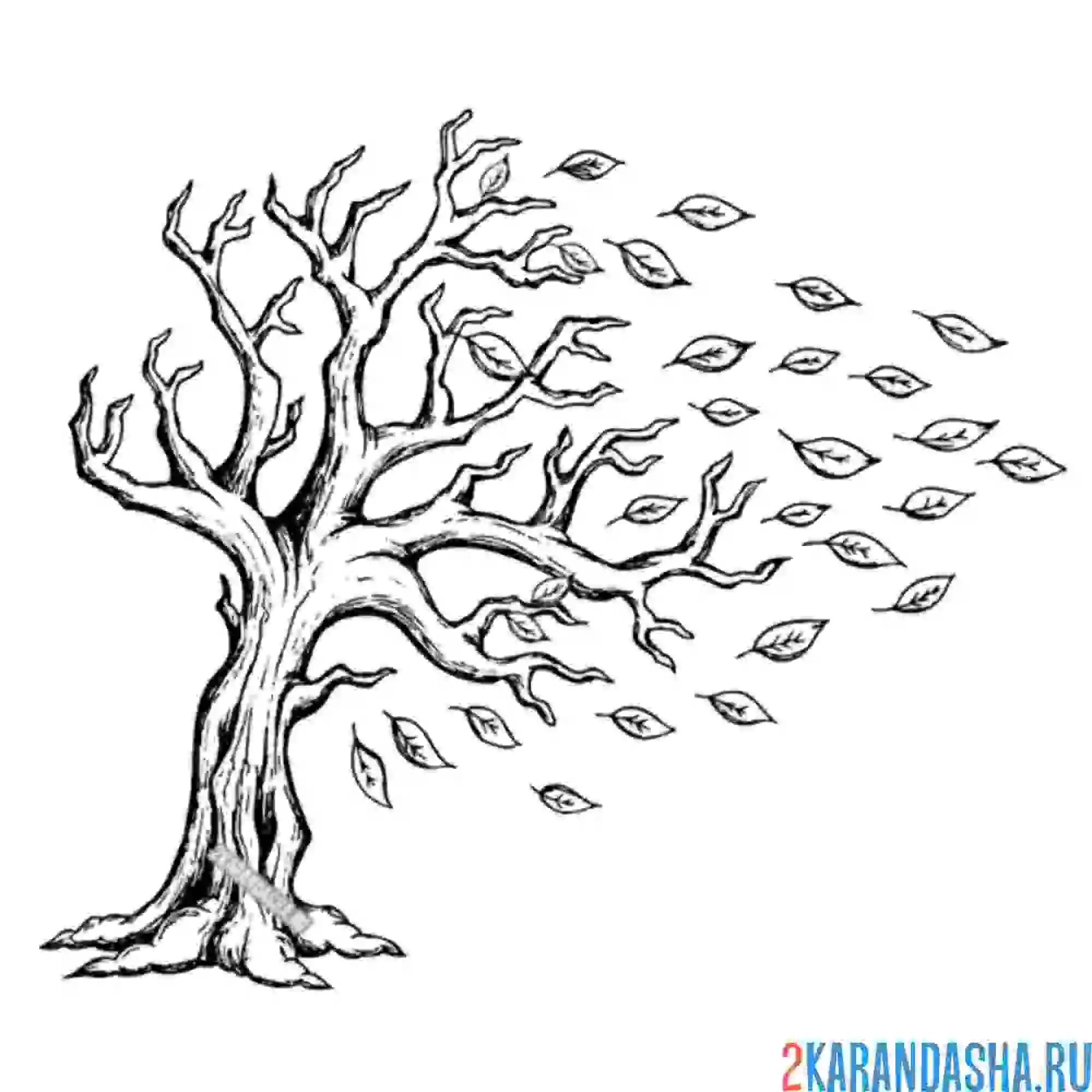 Раскраска осеннее дерево