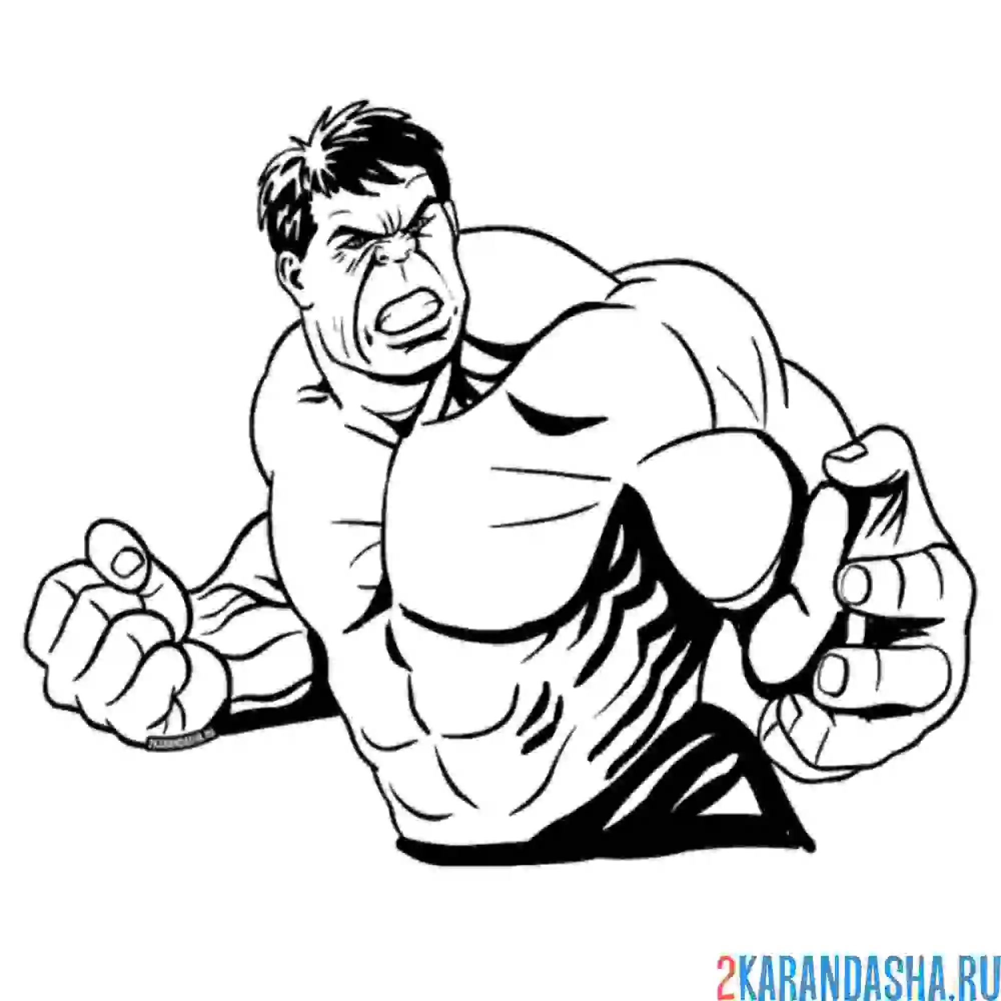 Раскраска портрет халк