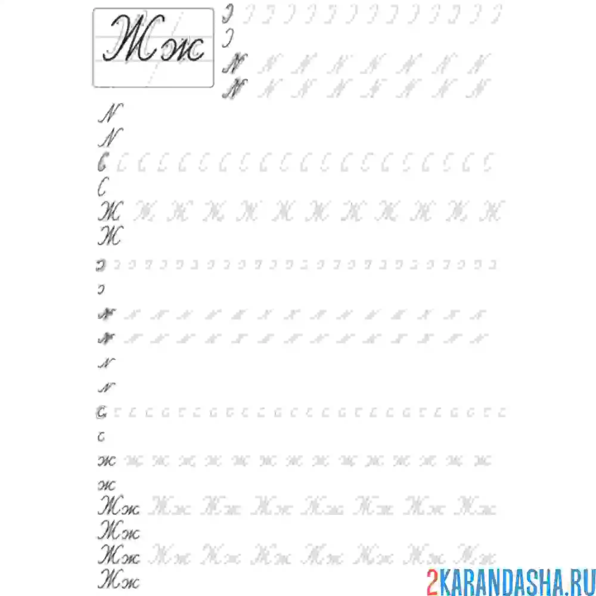 Раскраска прописи буква ж письменная