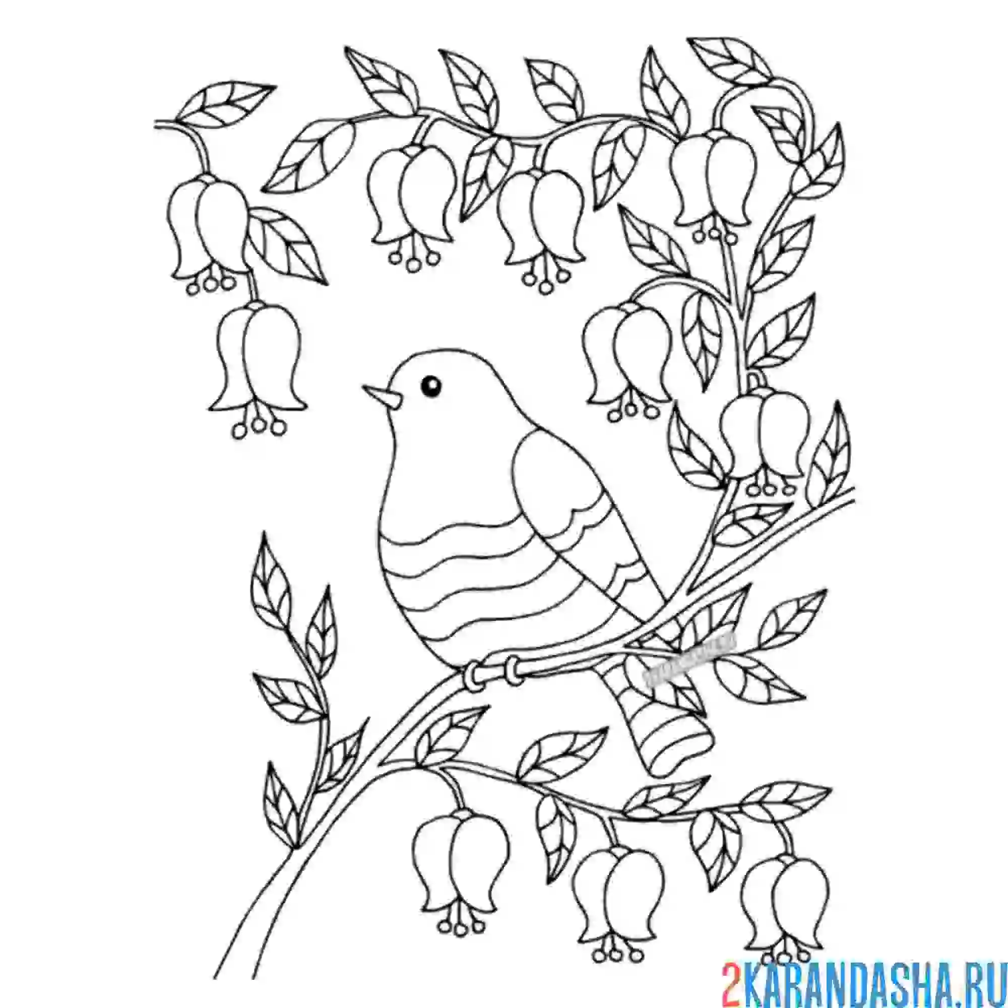 Раскраска птичка в весеннем лесу