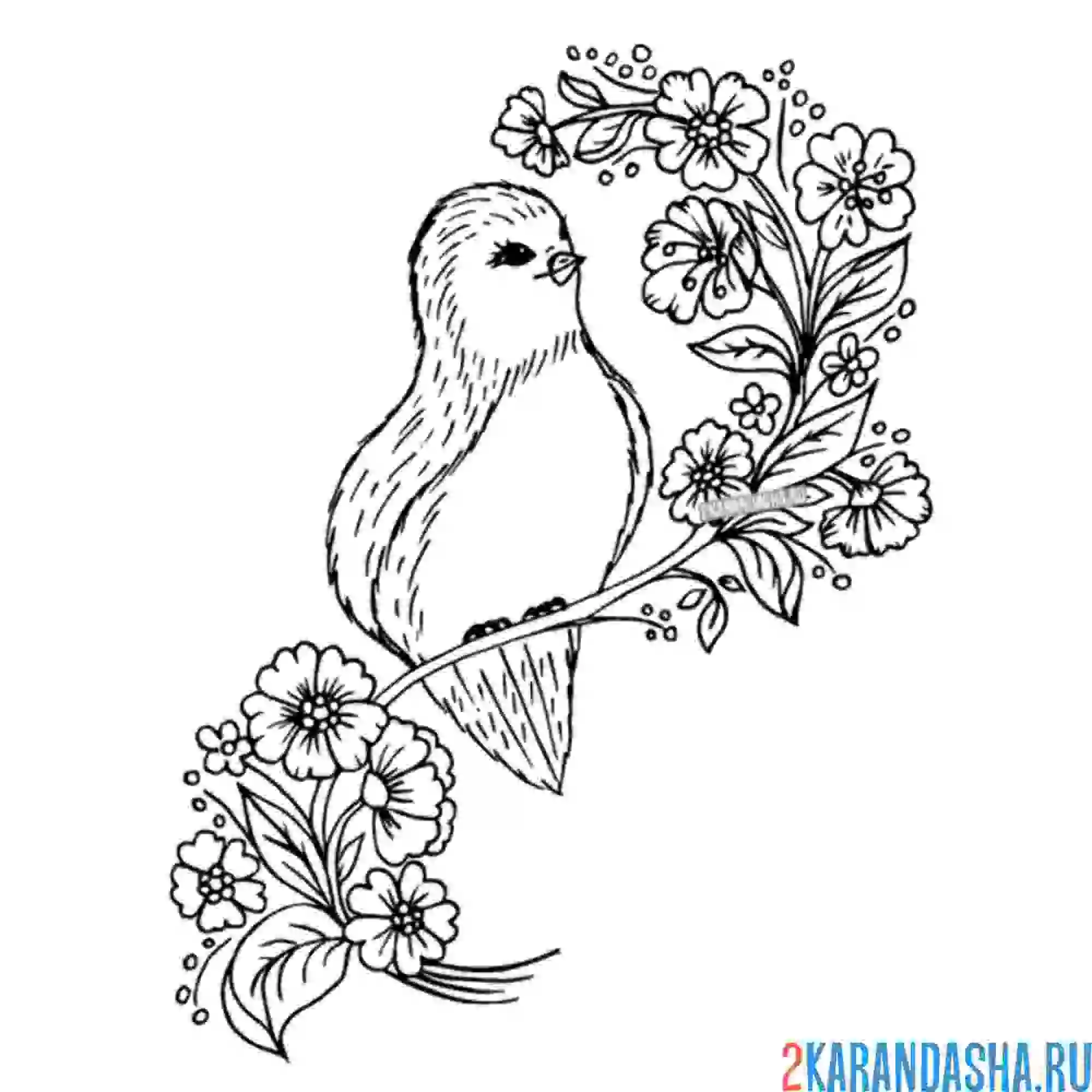 Раскраска птичка в весенней листве