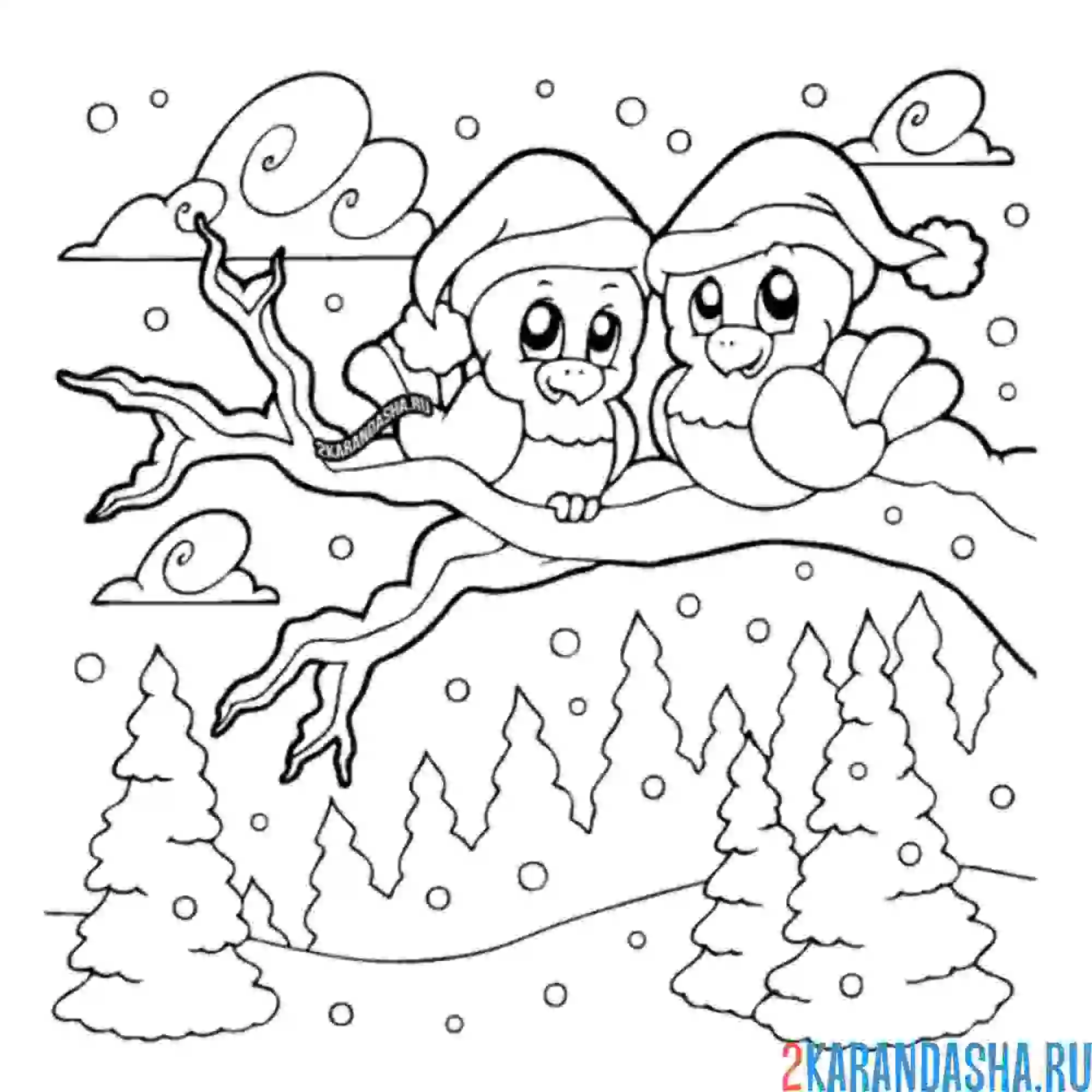 Раскраска птицы в зимнем лесу