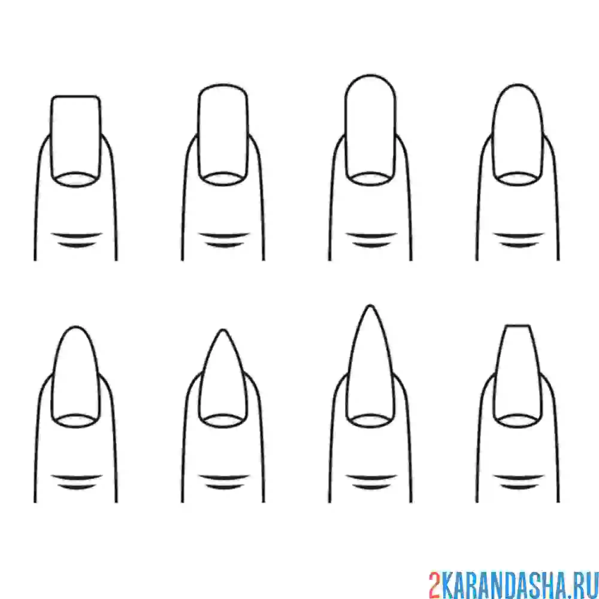 Раскраска разная форма ногтей