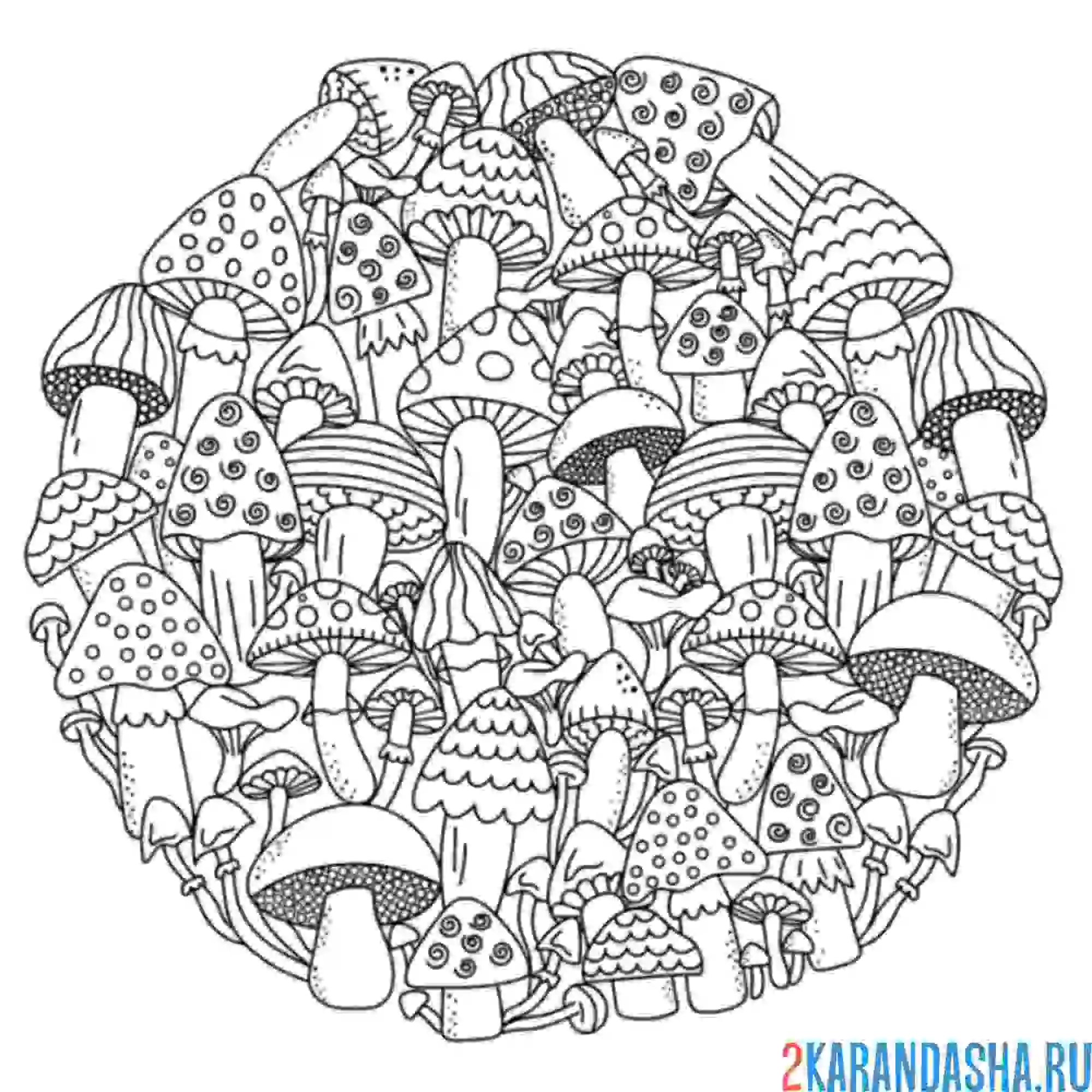 Раскраска разные грибы