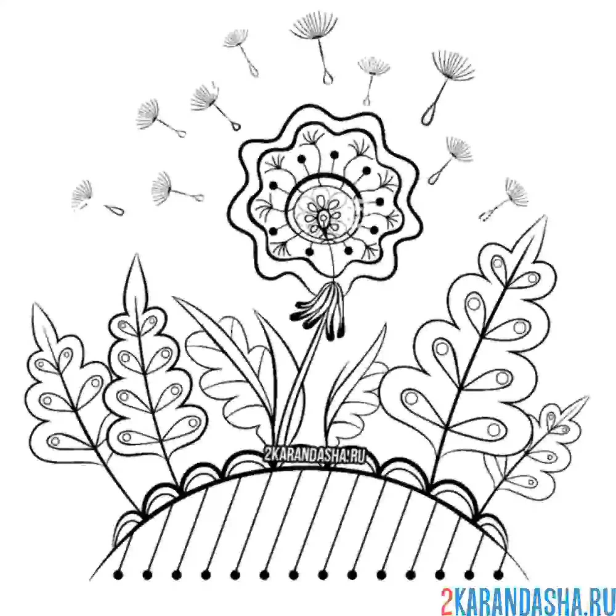 Раскраска рисунок одуванчик