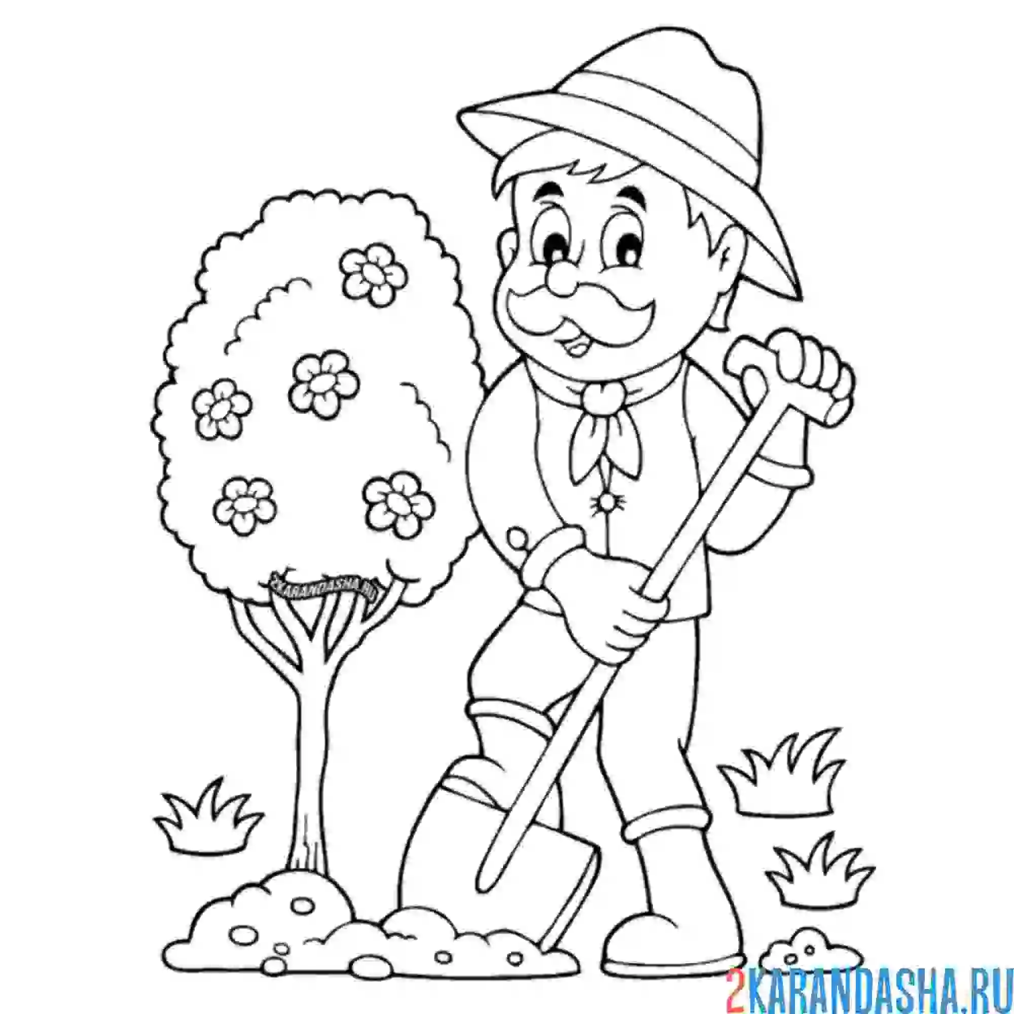 Раскраска садовод сажает дерево профессия