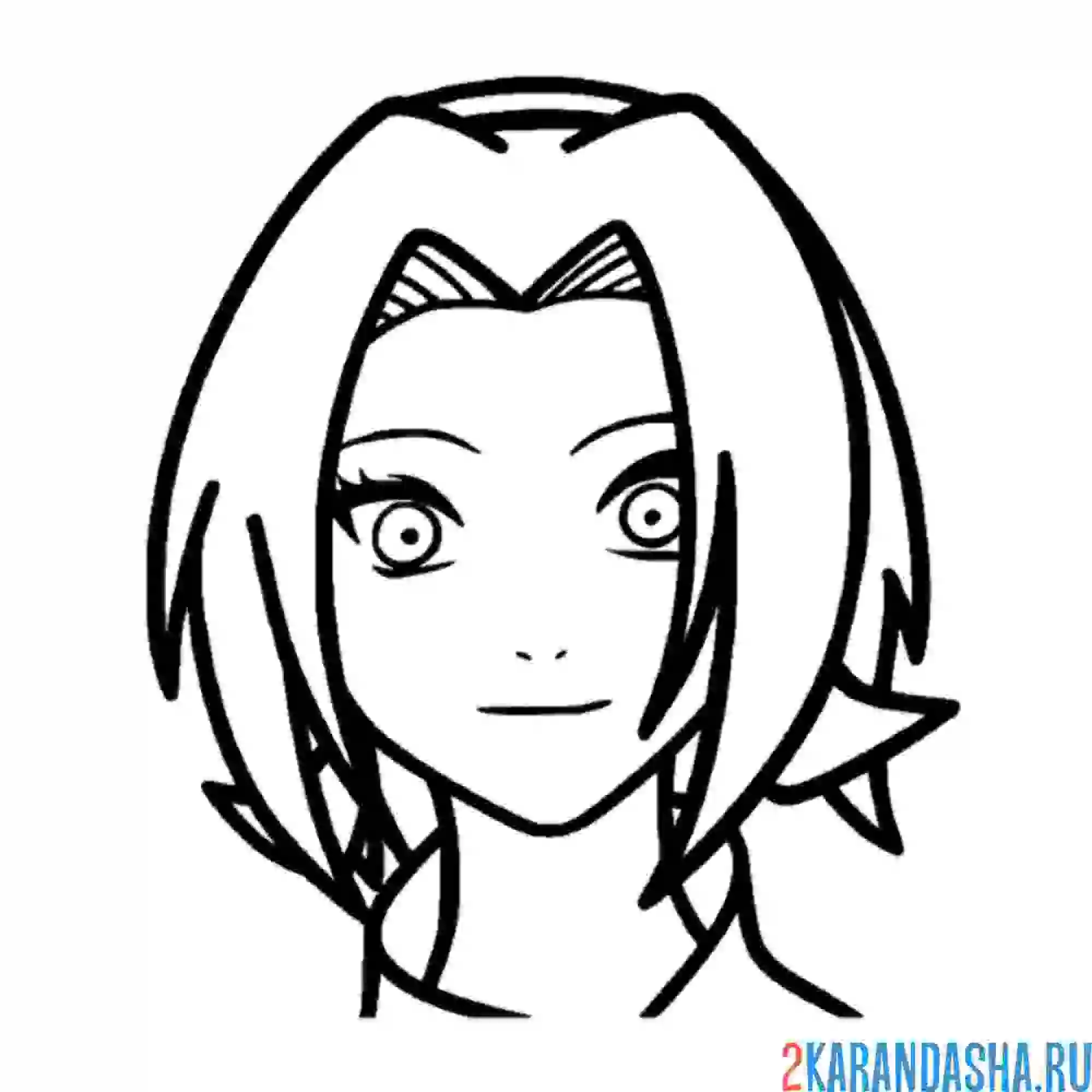 Раскраска сакура голова