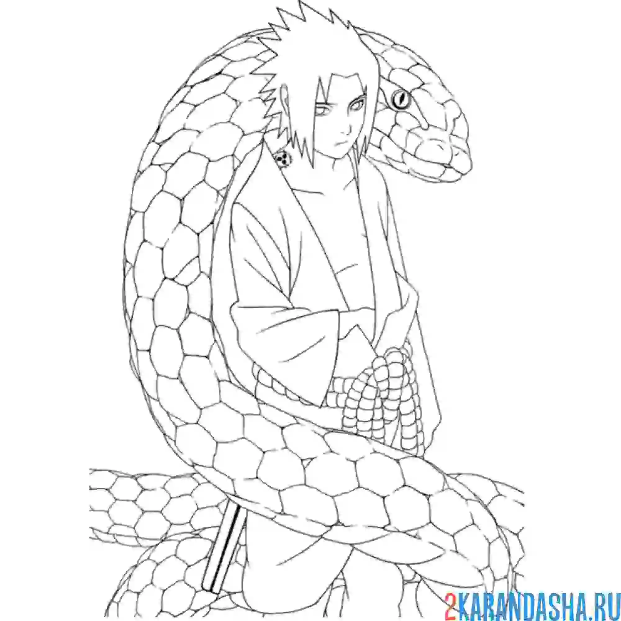 Раскраска саскэ и змея