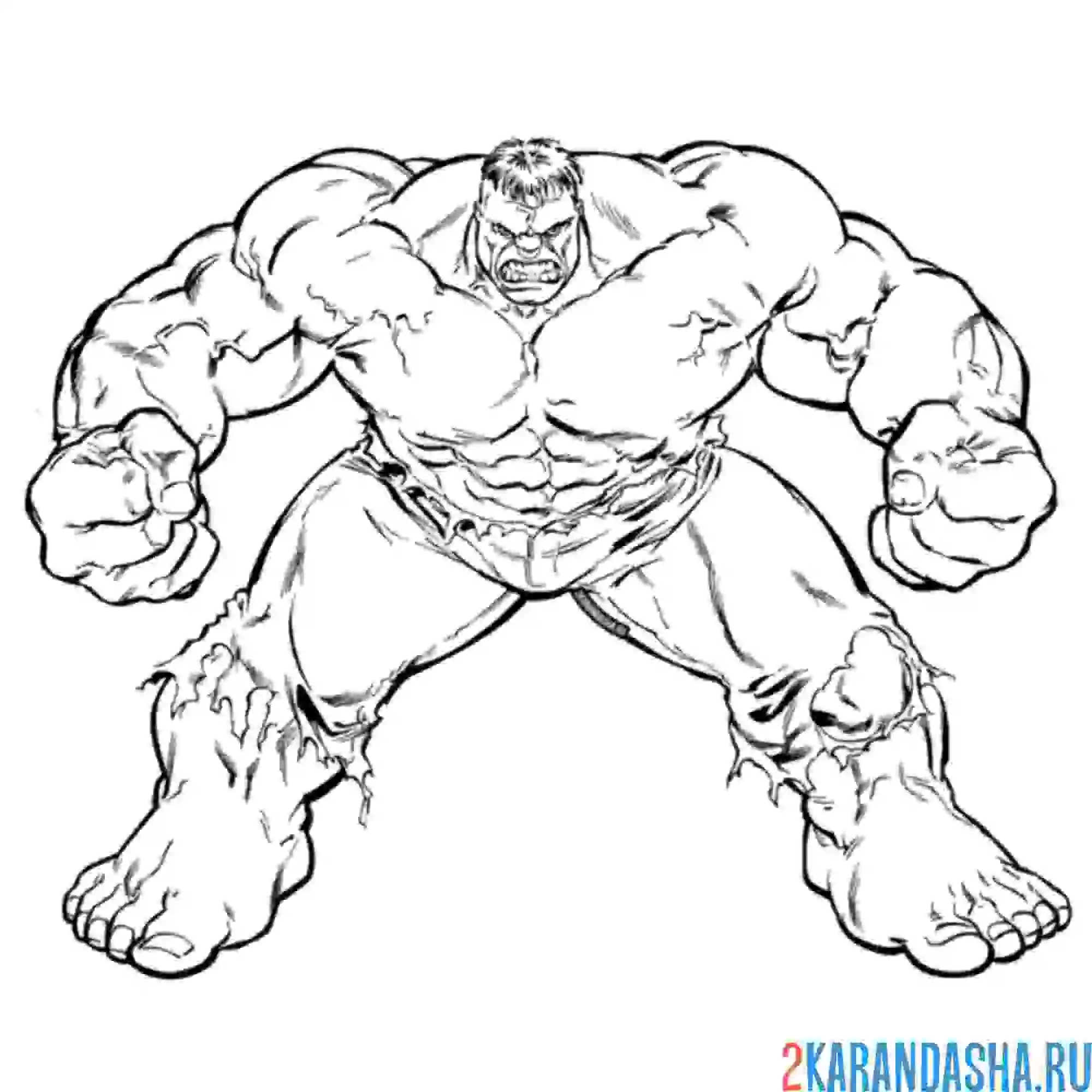 Раскраска сильный халк