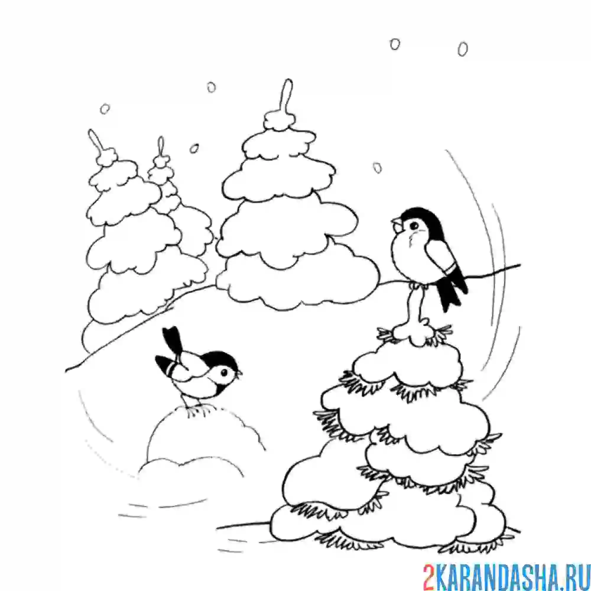 Раскраска синички в зимнем лесу