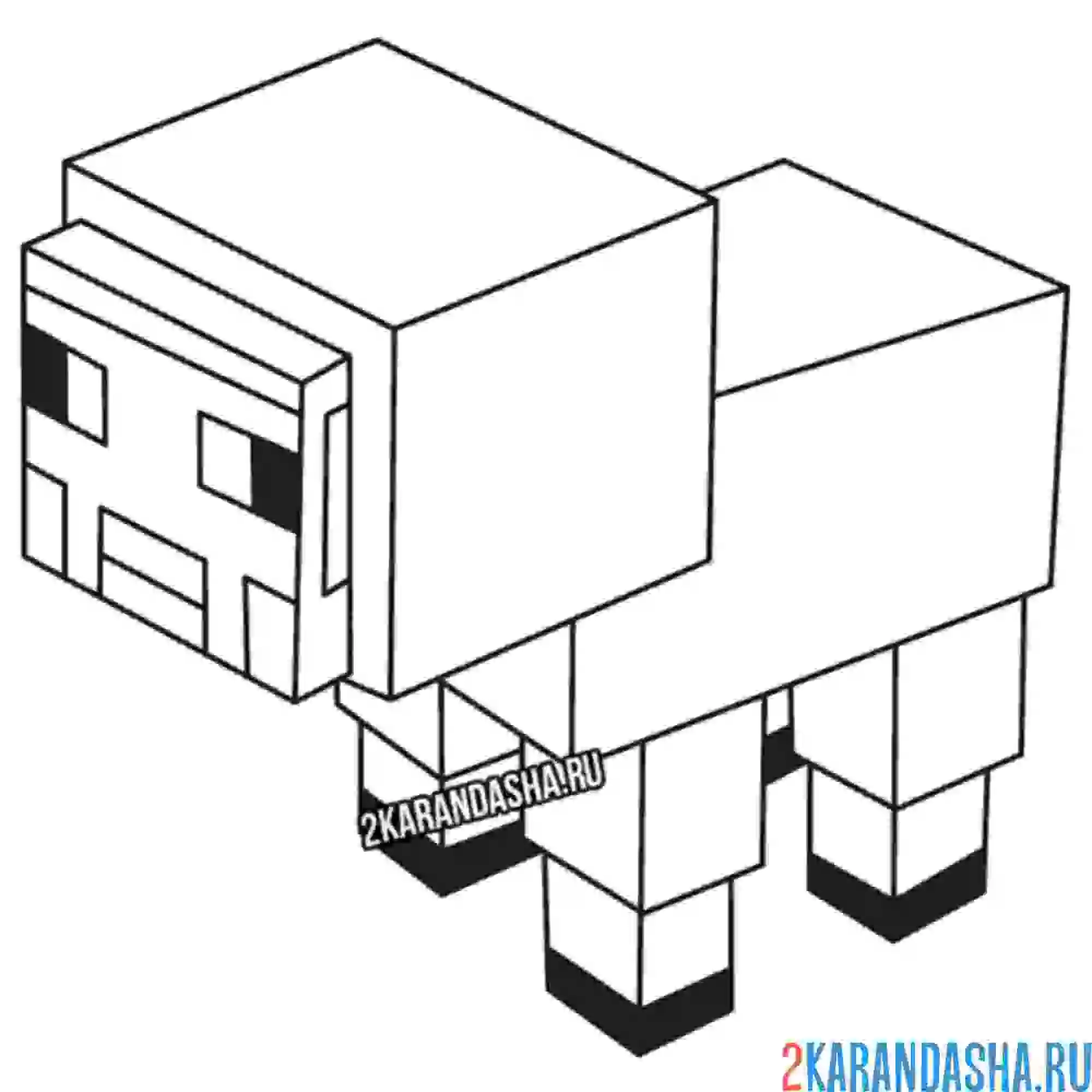 Раскраска скин овечка