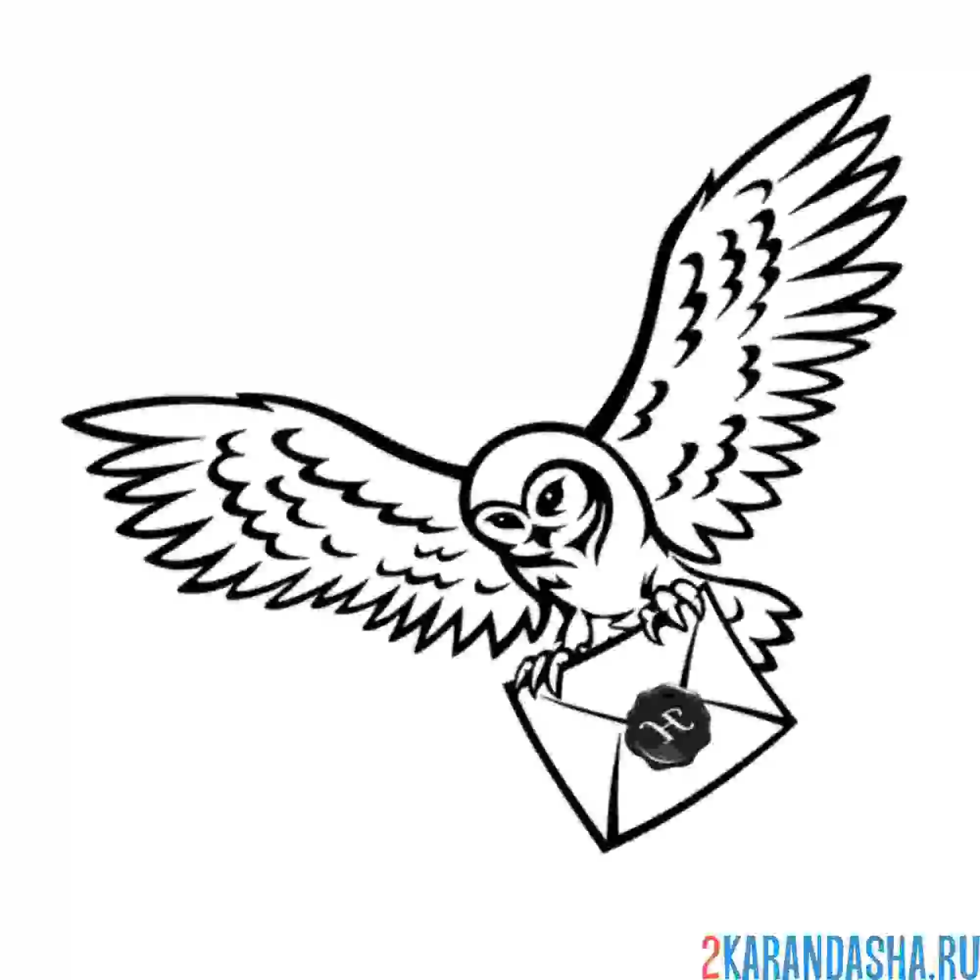 Раскраска сова хедвиг гарри поттер