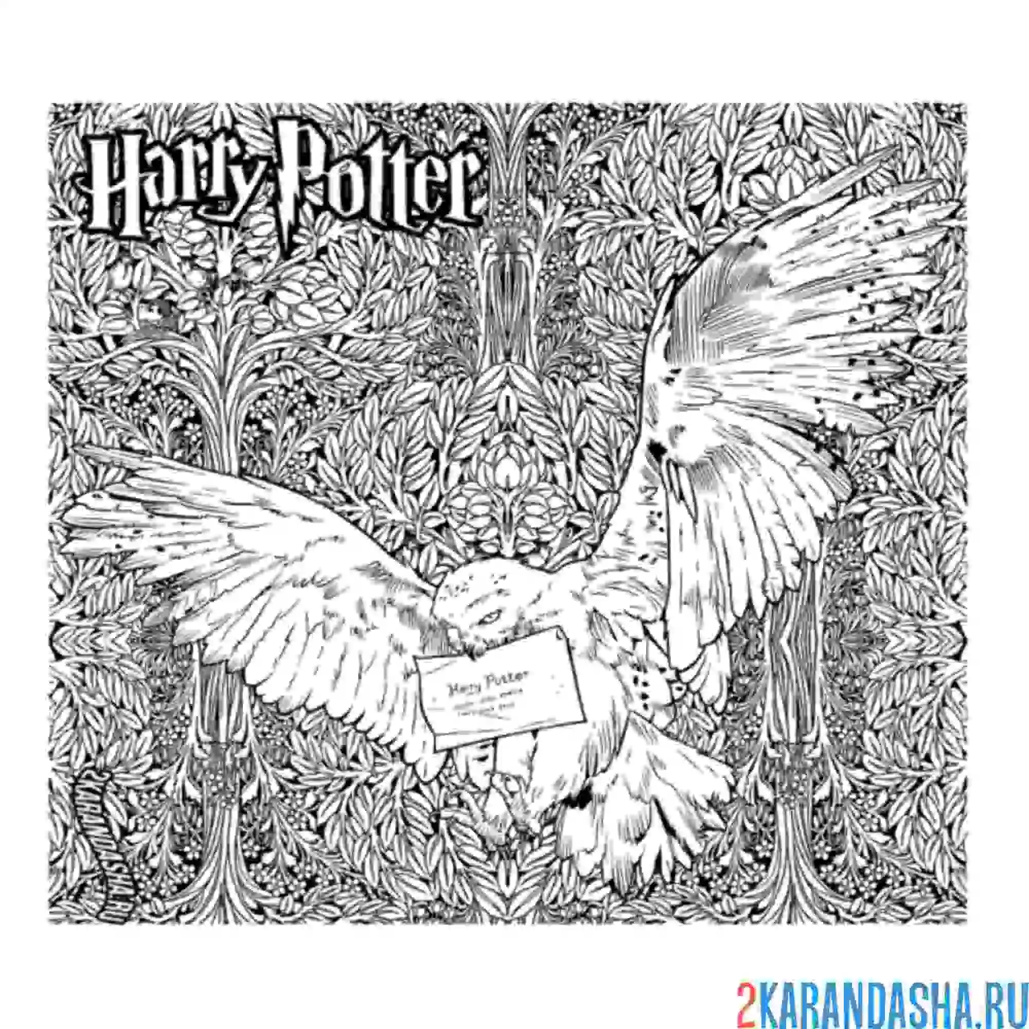 Раскраска сова хедвиг рисунок