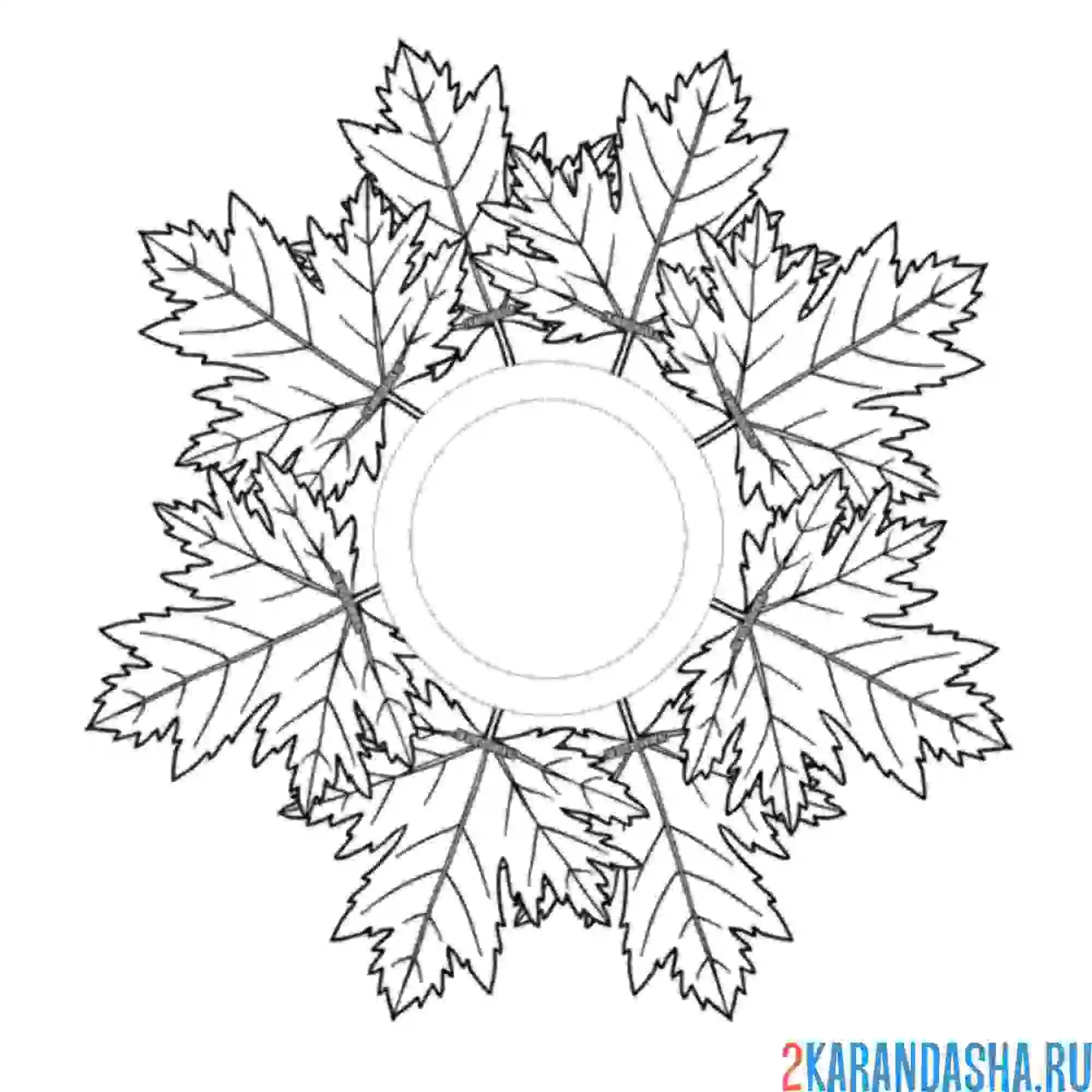 Раскраска веер из кленовых листьев