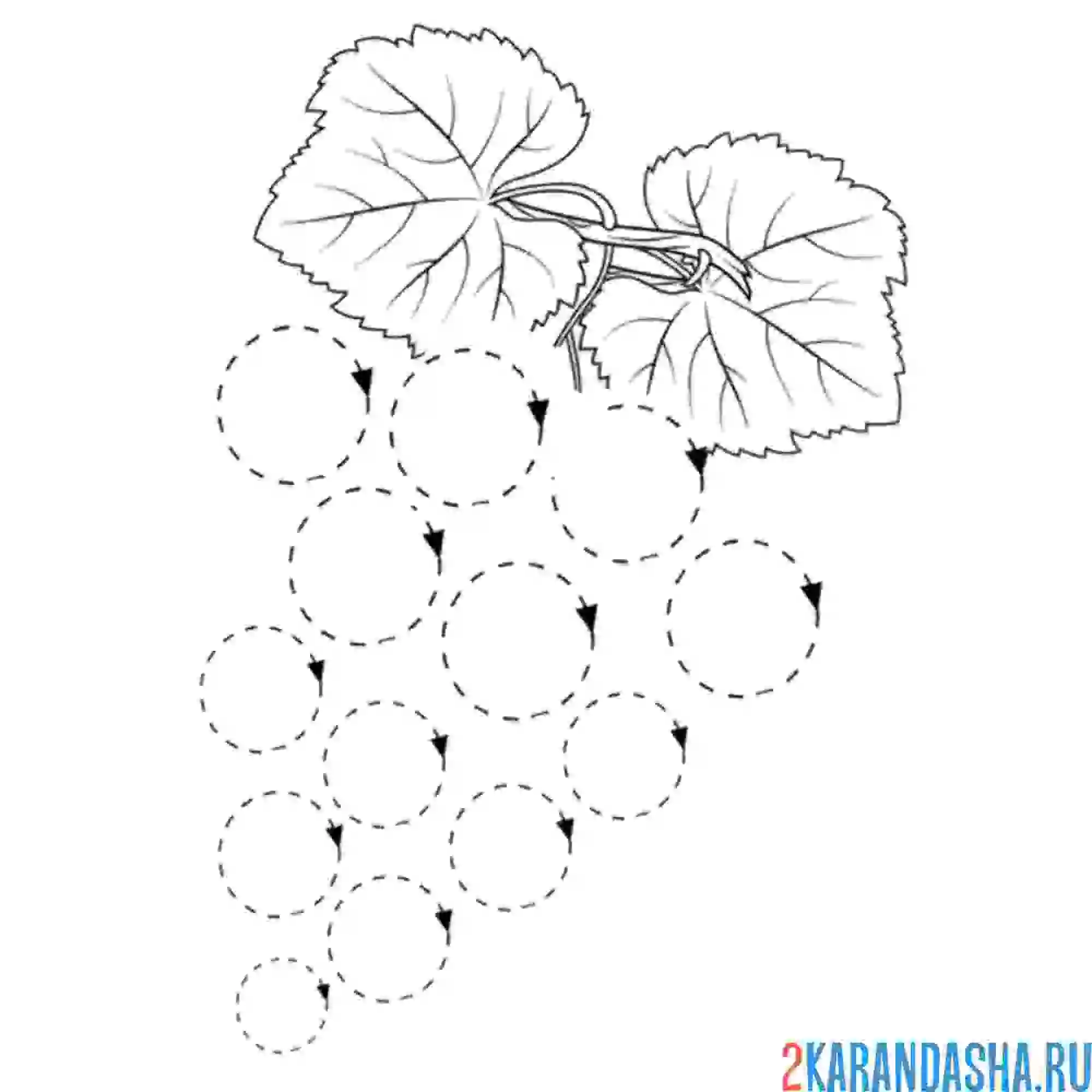 Раскраска виноград из кружков