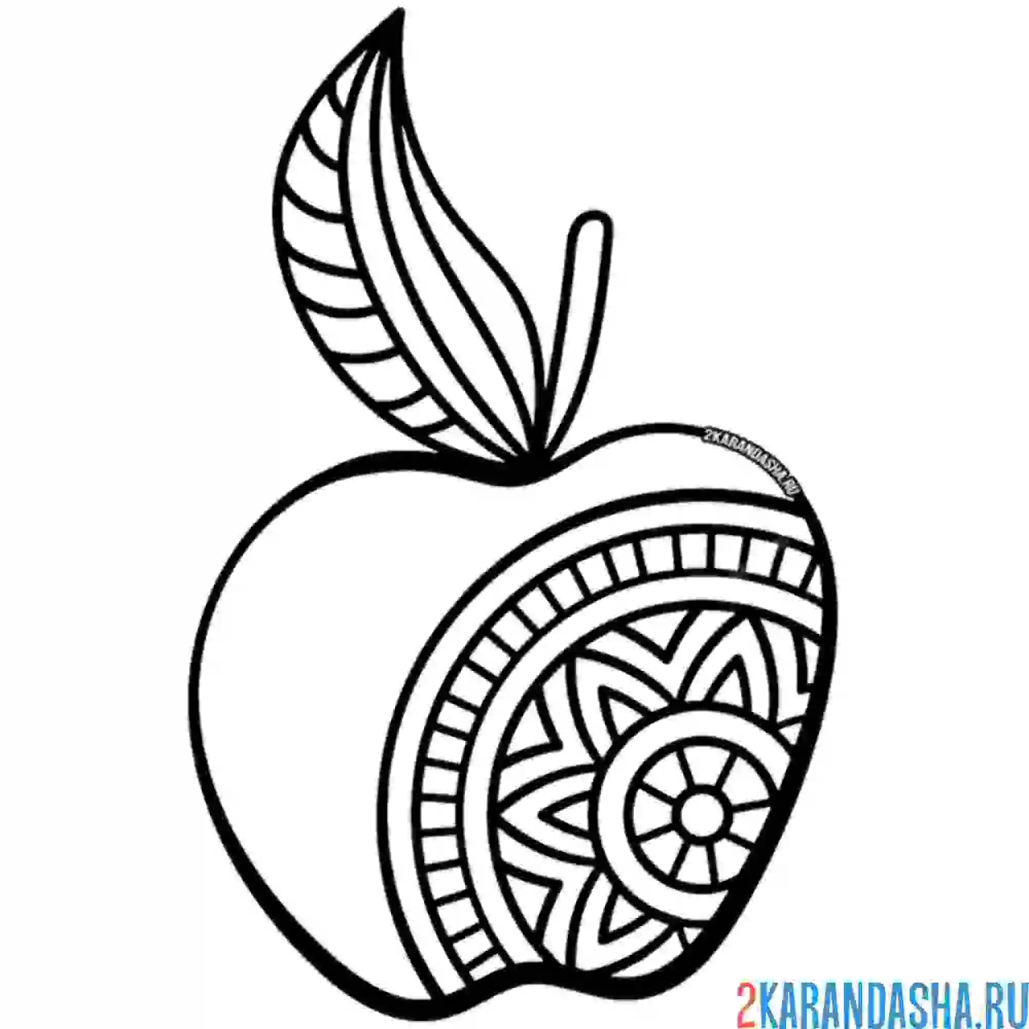 Раскраска яблочко