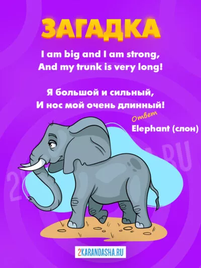 Картинка Загадки