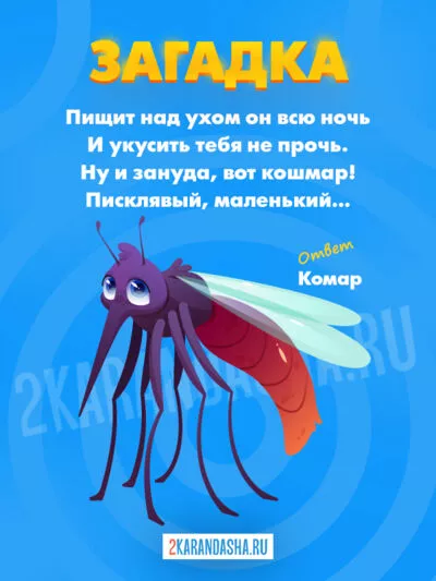 Картинка Загадки