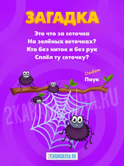 Картинка Загадки