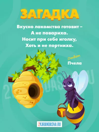 Картинка Загадки