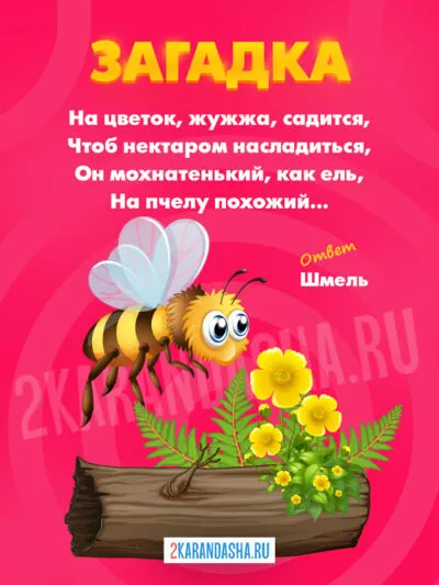 Картинка Загадки