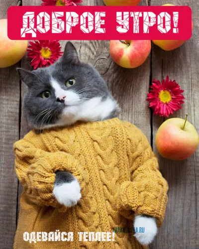Картинка Доброе утро