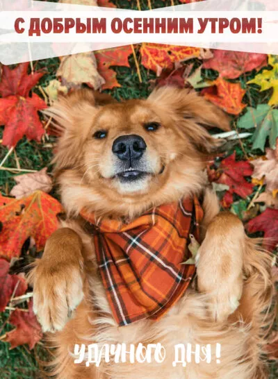 Картинка Доброе утро