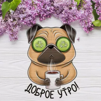 Картинка Доброе утро