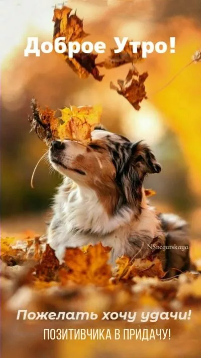 Картинка Доброе утро