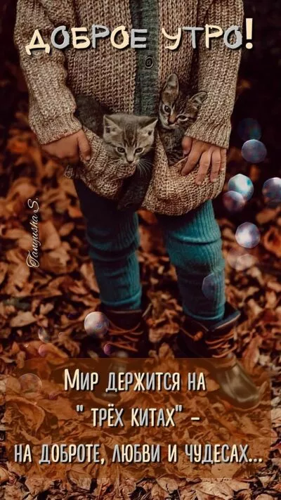 Картинка Доброе утро