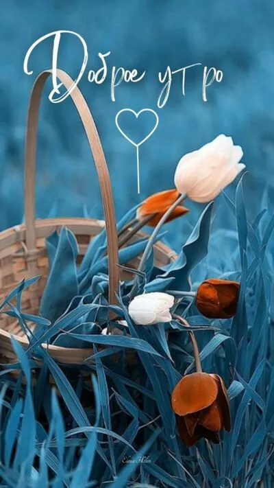 Картинка Доброе утро