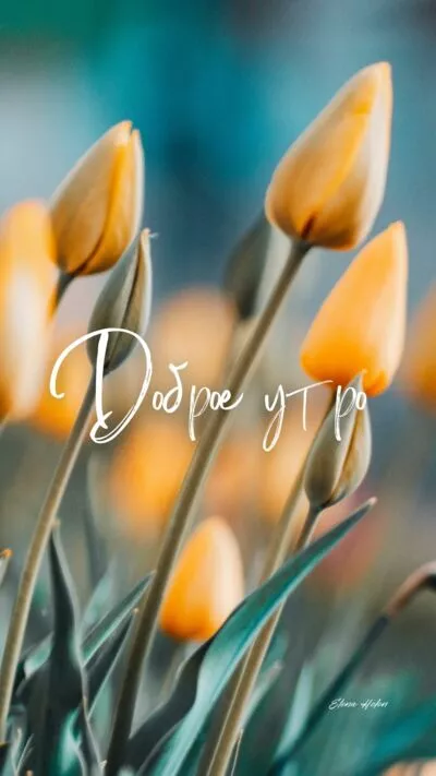 Картинка Доброе утро