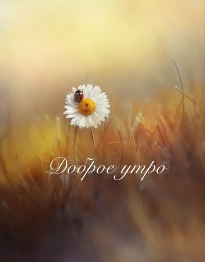 Картинка Доброе утро