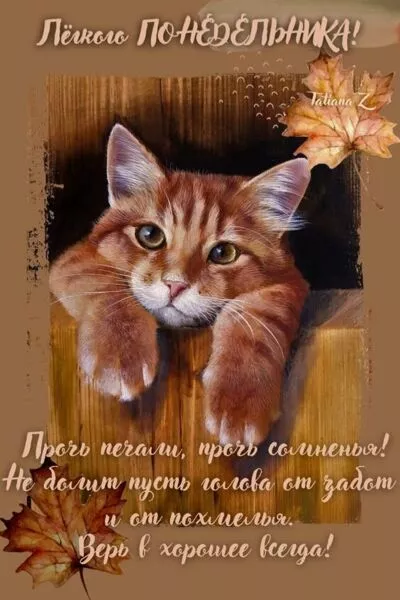 Картинка Доброе утро