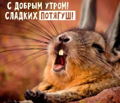 Картинка Доброе утро