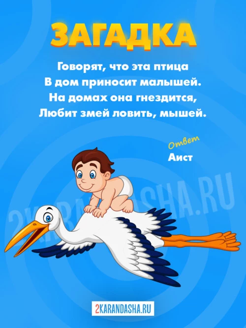 Загадки Аист