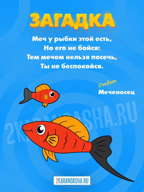 Загадки Аквариумные рыбки