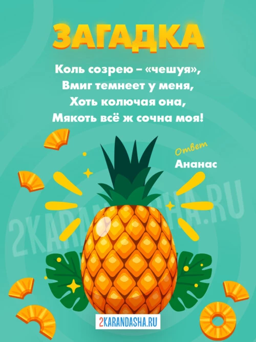Загадки Ананас