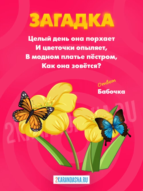 Загадки Бабочка